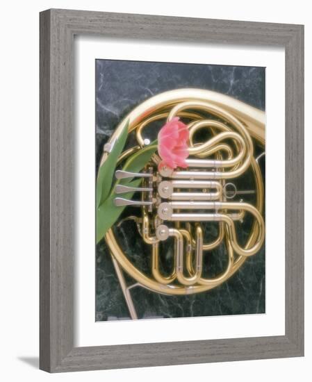 French Horn with a Tulip-Martin Fox-Framed Photographic Print