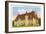 French House, LSU, Baton Rouge-null-Framed Premium Giclee Print