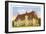 French House, LSU, Baton Rouge-null-Framed Premium Giclee Print