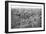 French Infantry Assault on the Eparges Ridge, Near Verdun, France, 2 August 1915-null-Framed Giclee Print