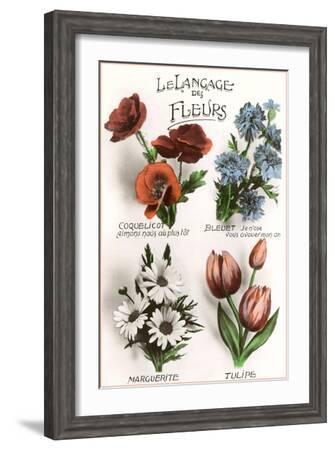 flower in french language