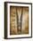 French Laundry Ii-Taylor Greene-Framed Art Print