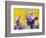 French Lavender at the Costa Vicentina, Algarve, Portugal. Portugal-Martin Zwick-Framed Photographic Print