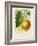 French Lemon Botanical I-A. Risso-Framed Art Print