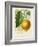 French Lemon Botanical I-A. Risso-Framed Art Print