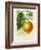 French Lemon Botanical I-A. Risso-Framed Art Print