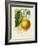 French Lemon Botanical I-A. Risso-Framed Art Print