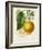 French Lemon Botanical I-A. Risso-Framed Art Print