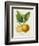 French Lemon Botanical III-A. Risso-Framed Art Print