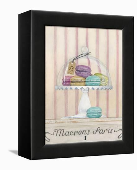 French Macaroons 2-Arnie Fisk-Framed Stretched Canvas