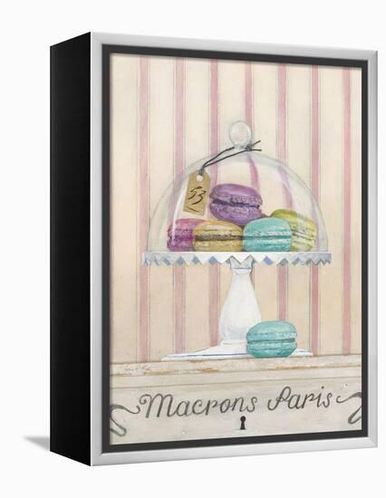 French Macaroons 2-Arnie Fisk-Framed Stretched Canvas