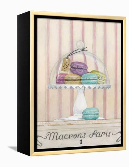 French Macaroons 2-Arnie Fisk-Framed Stretched Canvas