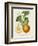 French Orange Botanical I-A. Risso-Framed Premium Giclee Print