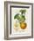 French Orange Botanical I-A. Risso-Framed Art Print