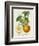 French Orange Botanical I-A. Risso-Framed Art Print