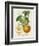 French Orange Botanical I-A. Risso-Framed Art Print