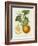 French Orange Botanical I-A. Risso-Framed Art Print