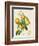 French Orange Botanical III-A. Risso-Framed Premium Giclee Print