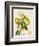French Orange Botanical III-A. Risso-Framed Premium Giclee Print