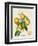 French Orange Botanical III-A. Risso-Framed Premium Giclee Print