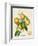 French Orange Botanical III-A. Risso-Framed Premium Giclee Print