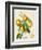 French Orange Botanical III-A. Risso-Framed Premium Giclee Print