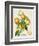 French Orange Botanical III-A. Risso-Framed Art Print