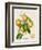 French Orange Botanical III-A. Risso-Framed Art Print