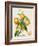 French Orange Botanical III-A. Risso-Framed Art Print