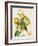 French Orange Botanical III-A. Risso-Framed Art Print