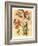 French Orchid-Samuel Curtis-Framed Art Print