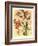 French Orchid-Samuel Curtis-Framed Art Print