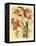 French Orchid-Samuel Curtis-Framed Stretched Canvas