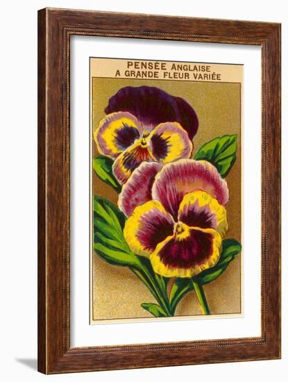 French Pansy Seed Packet-null-Framed Art Print