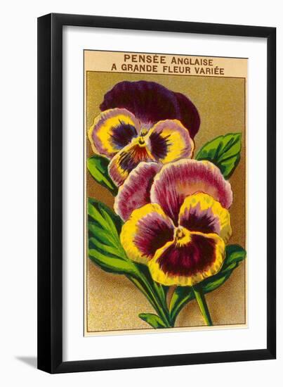 French Pansy Seed Packet-null-Framed Art Print