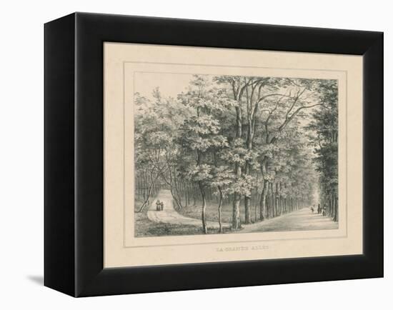 French Park Etching II-Wild Apple Portfolio-Framed Stretched Canvas