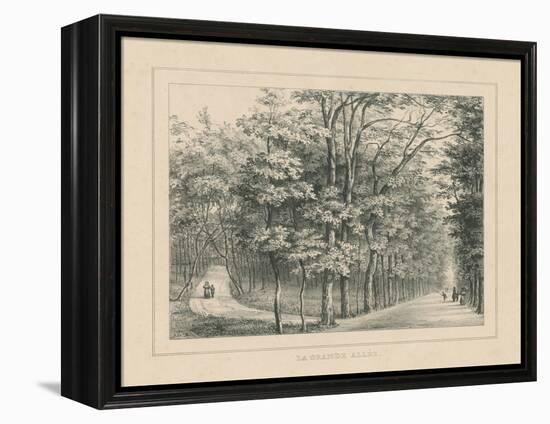 French Park Etching II-Wild Apple Portfolio-Framed Stretched Canvas