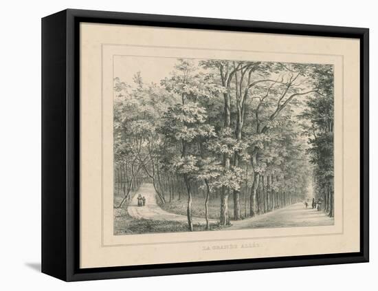 French Park Etching II-Wild Apple Portfolio-Framed Stretched Canvas