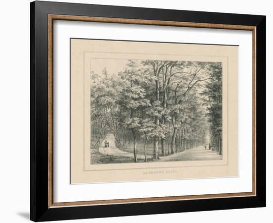 French Park Etching II-Wild Apple Portfolio-Framed Art Print