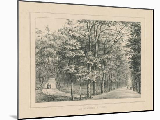 French Park Etching II-Wild Apple Portfolio-Mounted Art Print