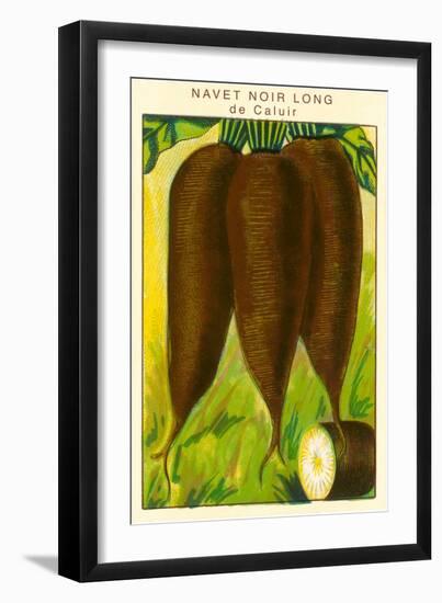 French Parsnip Seed Packet-null-Framed Art Print