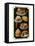 French Pastries IV-null-Framed Stretched Canvas