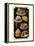 French Pastries IV-null-Framed Stretched Canvas