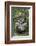 French Polynesia, Austral Islands, Raivavae. Moana Hei-Ata, Stone Tiki-Cindy Miller Hopkins-Framed Photographic Print