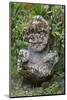 French Polynesia, Austral Islands, Raivavae. Moana Hei-Ata, Stone Tiki-Cindy Miller Hopkins-Mounted Photographic Print