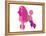 French Poodle-NaxArt-Framed Stretched Canvas