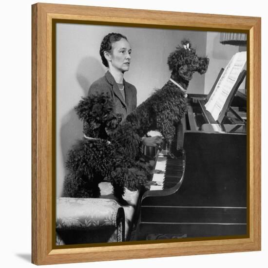 French Poodles Sitting at Piano with Woman-null-Framed Premier Image Canvas