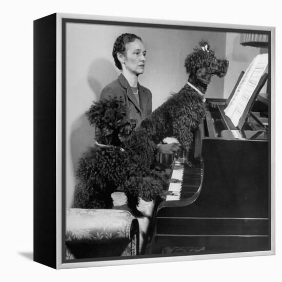 French Poodles Sitting at Piano with Woman-null-Framed Premier Image Canvas