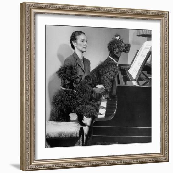 French Poodles Sitting at Piano with Woman-null-Framed Photographic Print