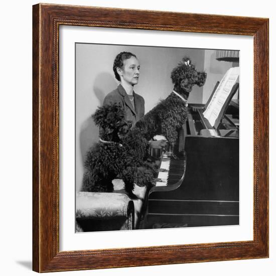 French Poodles Sitting at Piano with Woman-null-Framed Photographic Print